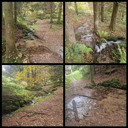 公寓 Panoramablick Bermersbach