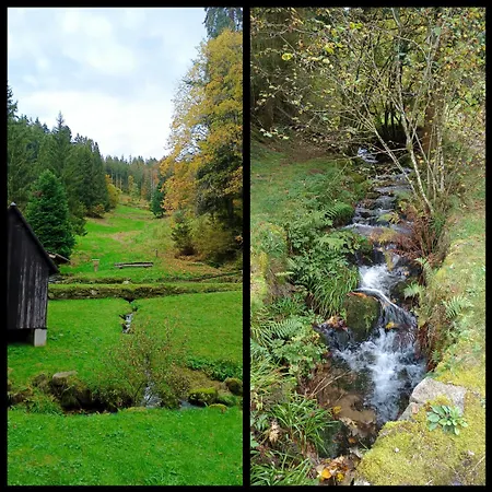 아파트 Panoramablick Bermersbach 포바흐