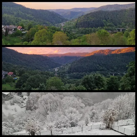 Panoramablick Bermersbach Forbach