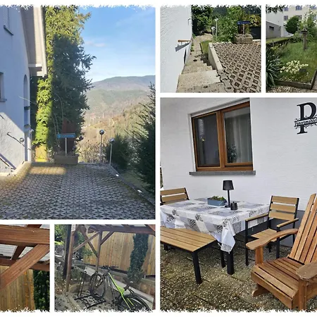 Panoramablick Bermersbach * 포바흐