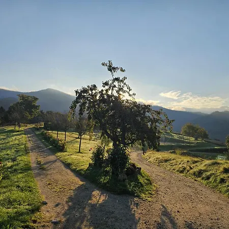 Panoramablick Bermersbach Apartment