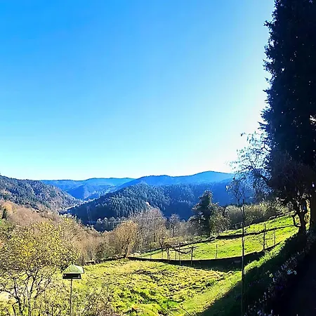 Panoramablick Bermersbach Lägenhet *