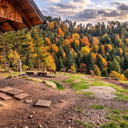 Panoramablick Bermersbach شقة