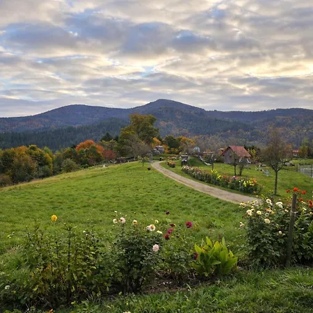 Panoramablick Bermersbach *