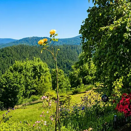 Panoramablick Bermersbach