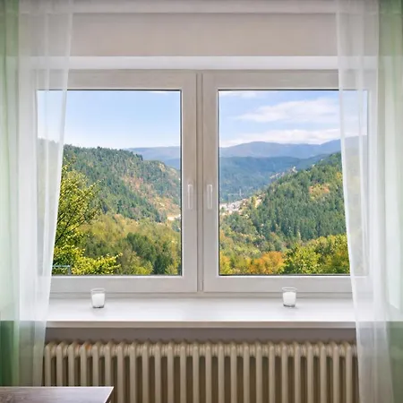 Panoramablick Bermersbach Forbach