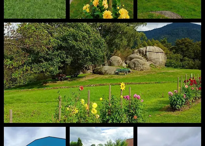 Panoramablick Bermersbach Apartment Forbach