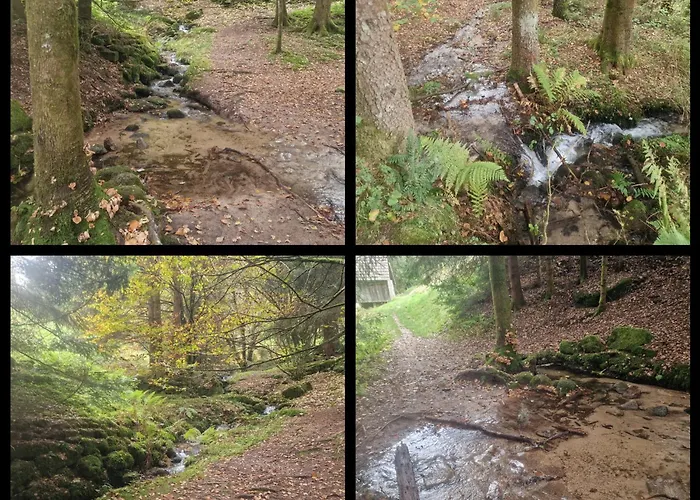 公寓 Panoramablick Bermersbach