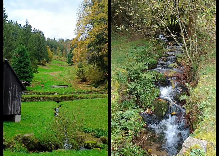 公寓 Panoramablick Bermersbach 福尔巴克