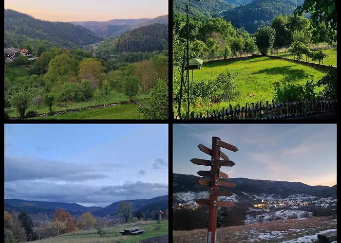 Panoramablick Bermersbach 公寓 福尔巴克