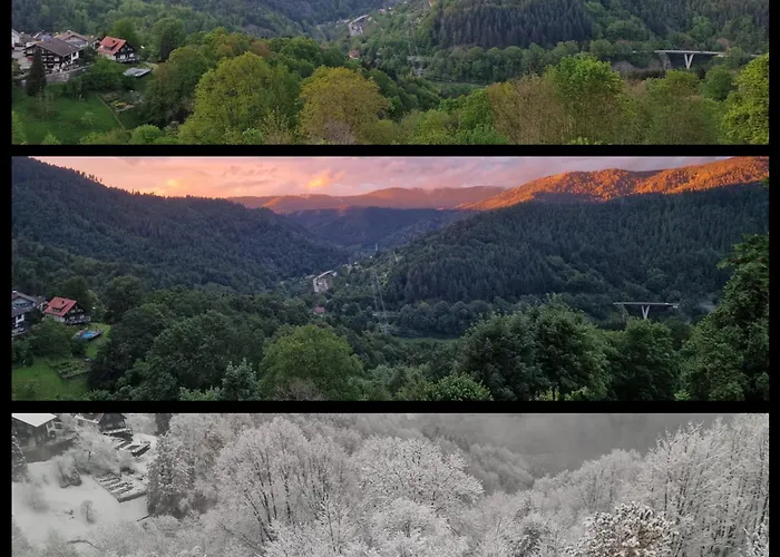 Panoramablick Bermersbach Forbach