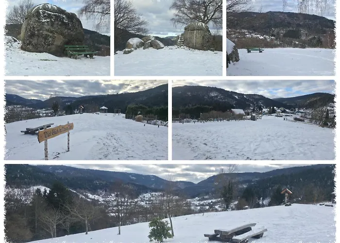 Panoramablick Bermersbach * Forbach