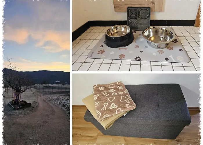 Panoramablick Bermersbach * Forbach