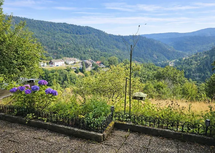 Apartment Panoramablick Bermersbach Forbach
