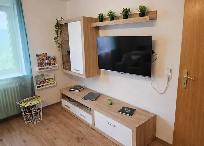 Panoramablick Bermersbach Apartment Forbach